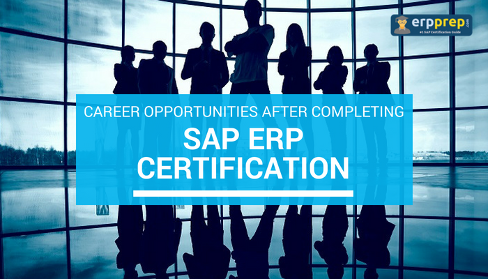 SAP ERP Certification, Career Opportunities after Getting SAP ERP, Financial Accounting (FI), Managerial Accounting (CO), Materials Management (MM), Sales and Distribution (SD), Production Planning (PP), Project System (PS), Human Capital Management (HCM), Quality Management (QM)