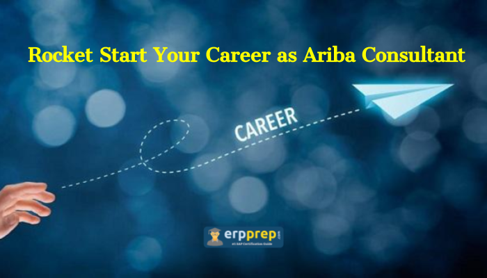 How to become Ariba Consultant
