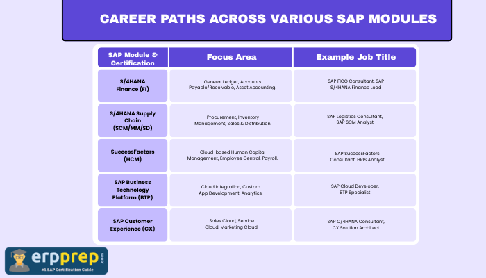 Career Paths Across Various SAP Modules