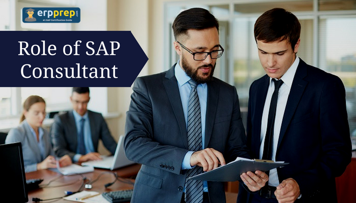 SAP Consulatant Role