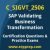 SAP Certified Associate - Validating Business Transformation