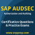 SAP Authorization and Auditing