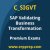 Premium SAP C_SIGVT Certification Practice Exams